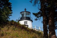 Evergreen Trees Around Owls Head Lighthouse